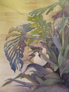 Back Garden - detail