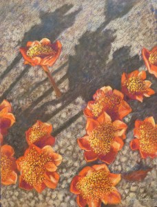 Look at me! Pastel on painted paper 52x72cm